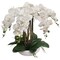 White Phalaenopsis Orchid Arrangement in 10" Round White Pot - Elegant Low Maintenance Floral Decor for Home and Office by Floral Home by Artificial Flowers